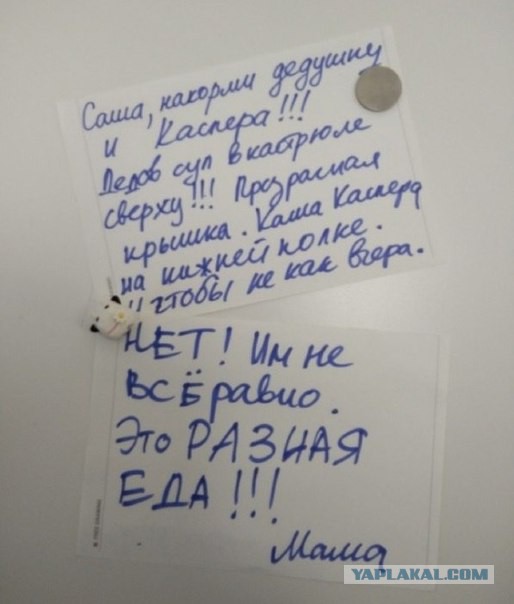 Весёлые картинки