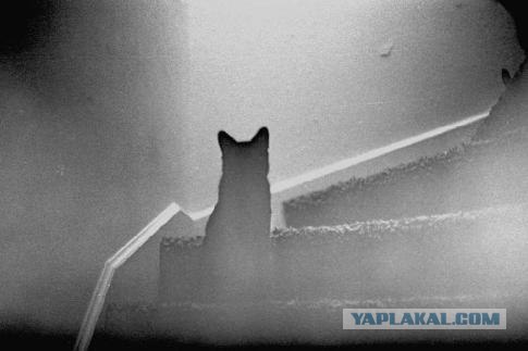 Самое страшное