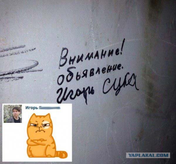 Немного картинок и демотиваторов