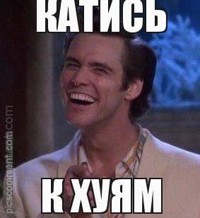 Сбежали в Украину, сердешные..