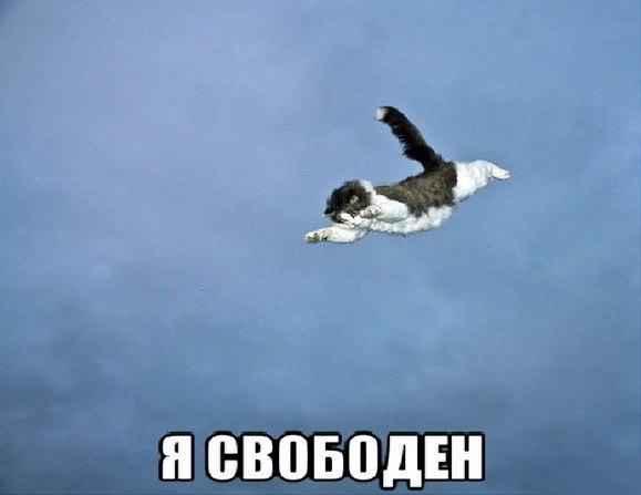Немного картинок