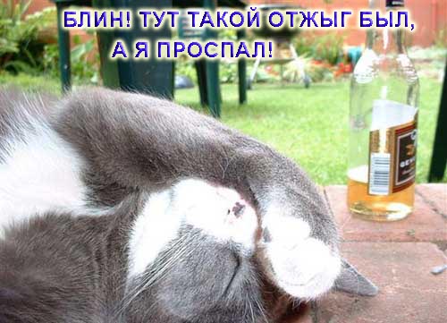 Уже да :) Ужо пятнецца...