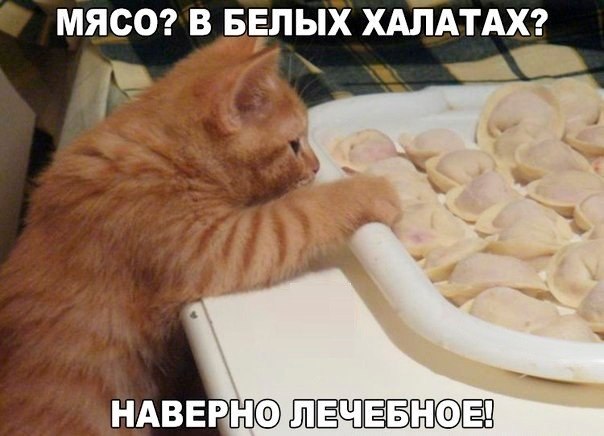 Подборка интересных и смешных картинок