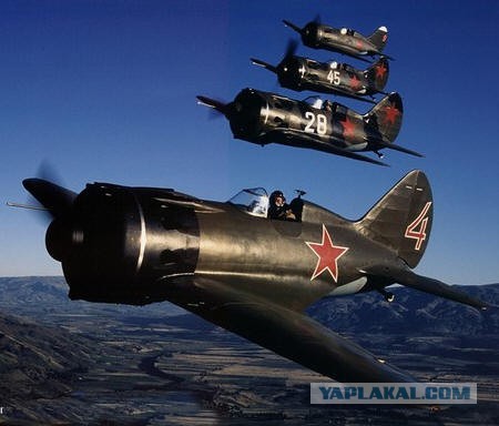 Такое можно встретить только в России