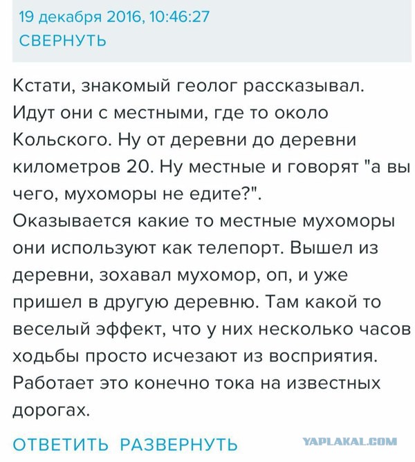 А вы бы какую выбрали?
