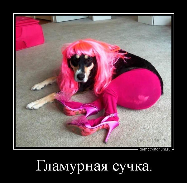 Прямой репортаж из Наташи!