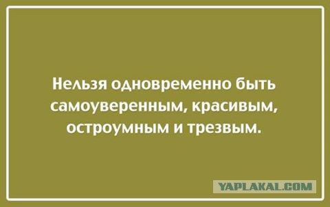 Смешные комментарии из социальных сетей 14.04.2017