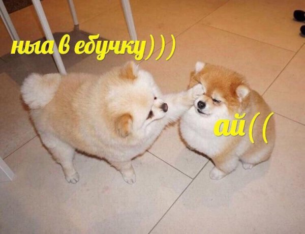 Мужики в возрасте всегда нарасхват