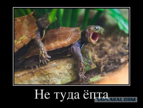 Посетитель секс-шопа, 18+