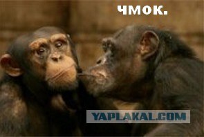 Фотокомикс: А куда ушла жена?