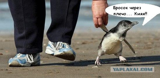 Пап, ну купи мороженое!