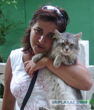 Как же можно про котовторник забыть?!