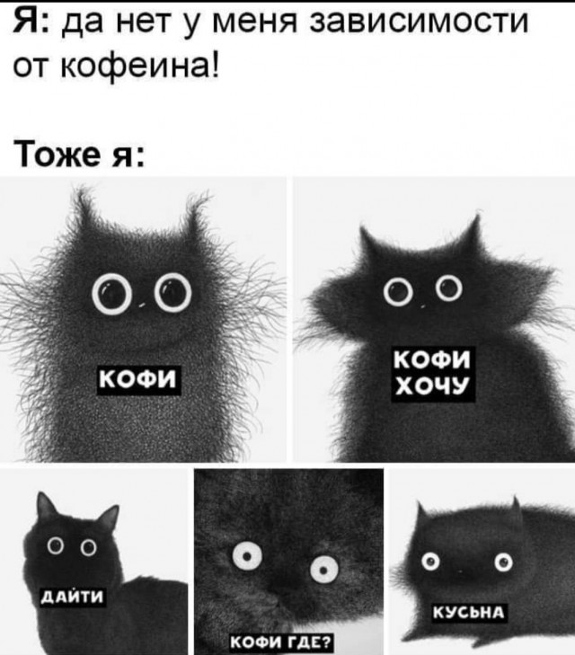 Немного картинок для настроения 11.05.20