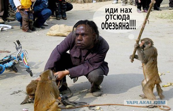 Неуловимый мститель