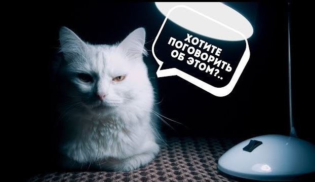 Узнал, что жена подрабатывала девочкой по вызову