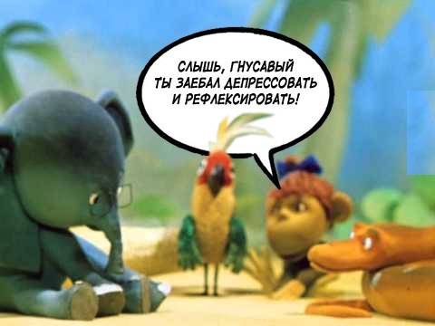 Так себе картинки 24.02.21