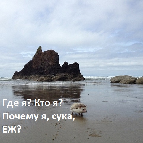 Путин не сказал Шойгу главное!