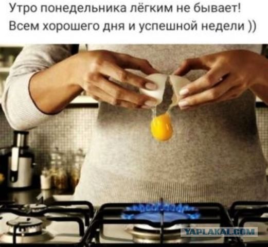 Алкопост 28.08.21