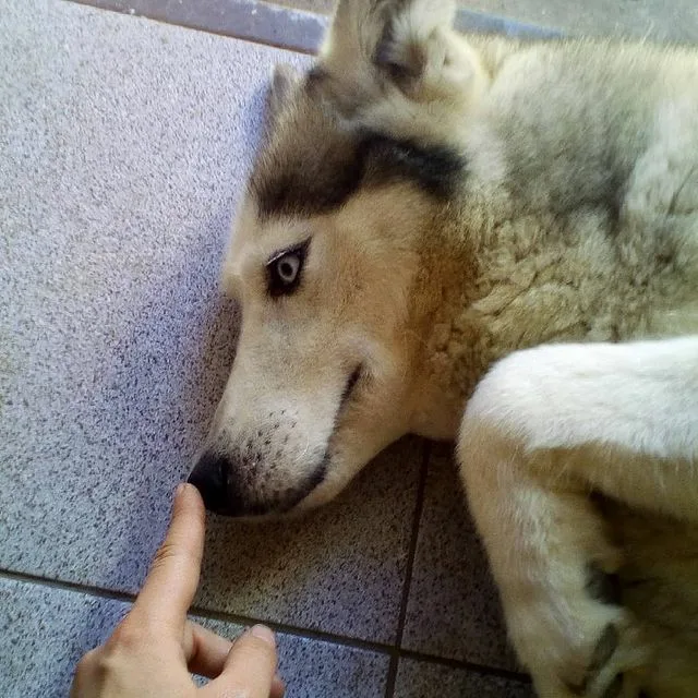 Женщины согласны на такие условия?