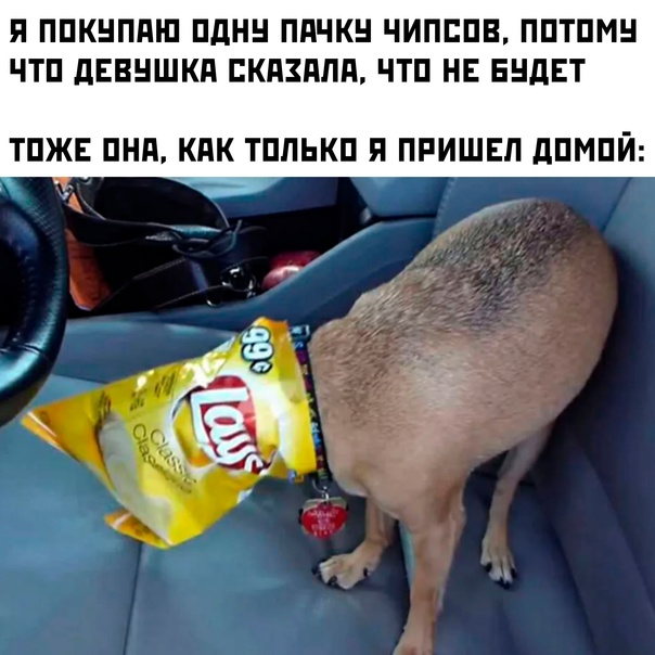 Картинки и мемы - "Жить, как говорится, хорошо..."
