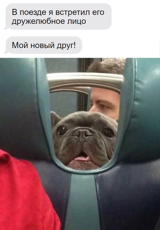 Картинки и мемы для настроения - 11