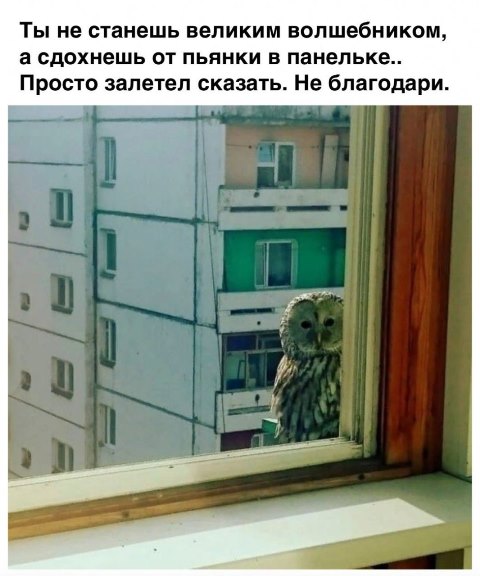 Картинки и мемы для настроения - 119