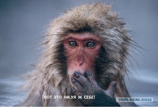 Скромная вечеринка в гетто!