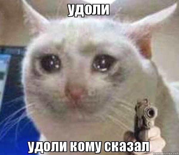Нет детей, значит это не семья