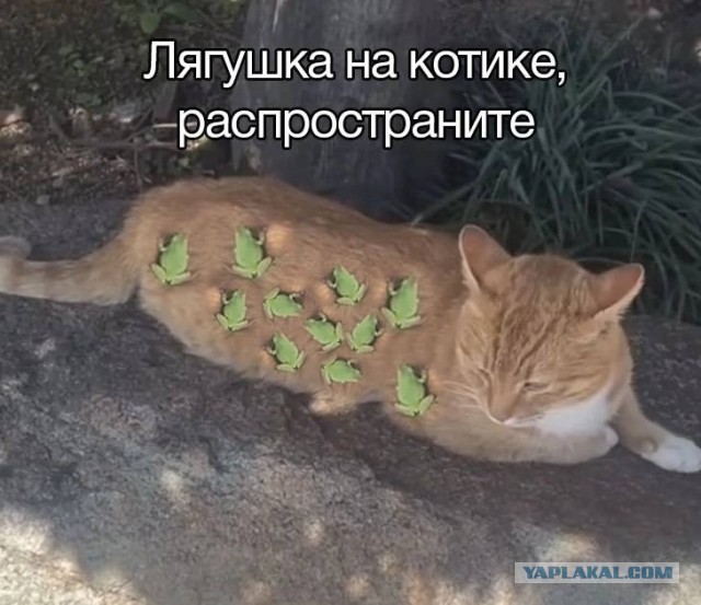 Завалялось тут случайно немного забавных картинок
