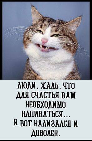 АлкоНовогодние баяны