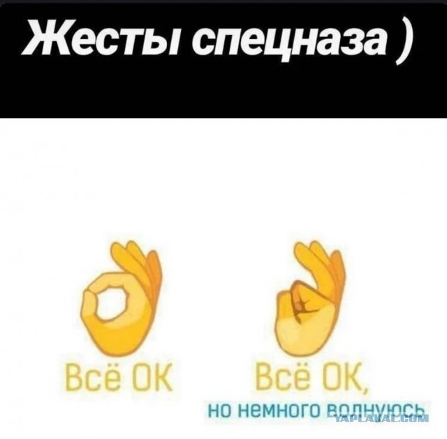 30 картинок на субботу