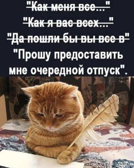 Для настроения в четверг!