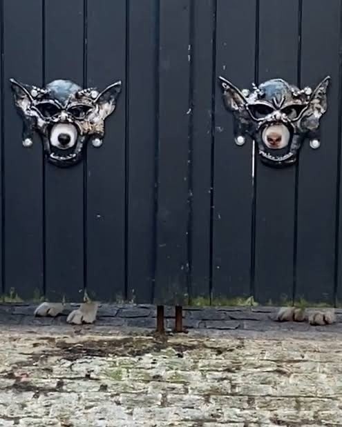 Среды картинки