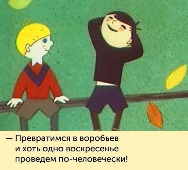 Почему ласточки не едят бабочек?