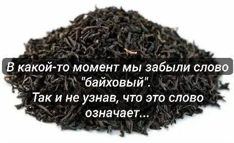Картинки для деградации 272 (разной степени свежести)