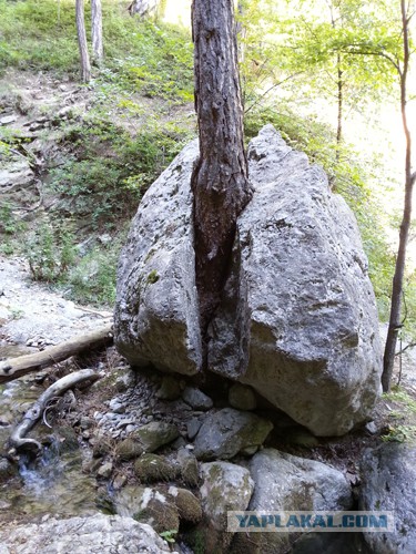 Дорога из Киева и из Москвы в Ялту.