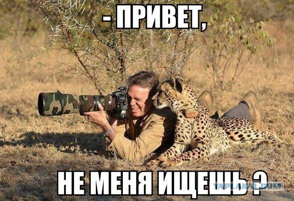 Всем зеленки!