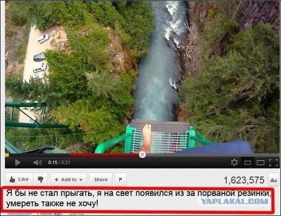 Свежие картинки из сети