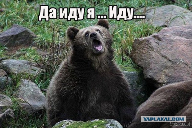 О дурах, коих в России на сто лет припасено.