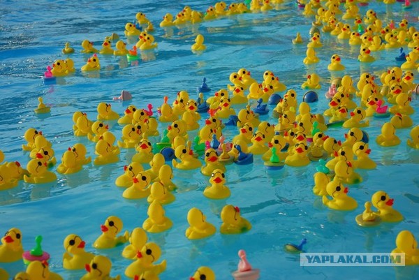 10  странных вещей, которые выбросило море