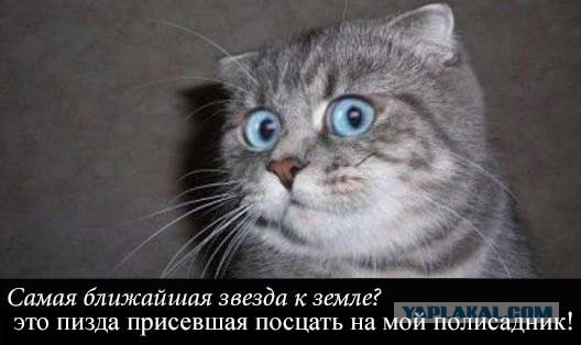 Какая звезда ближе к Земле?