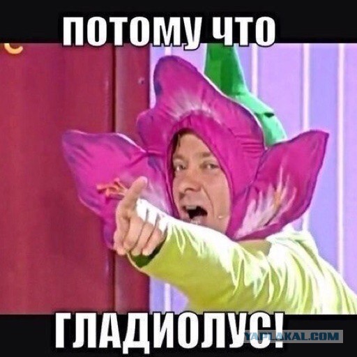 Группы и теория гомотопий