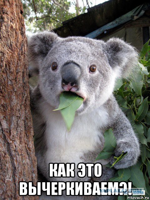 Нестандартный ЯПовчанин, привет Олеся!