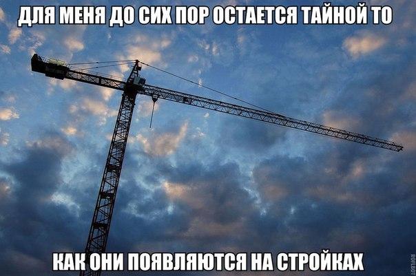 Картинки и демотиваторы