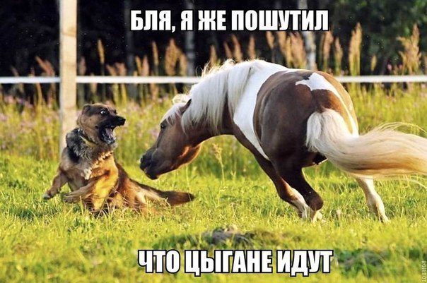 Картинки и демотиваторы