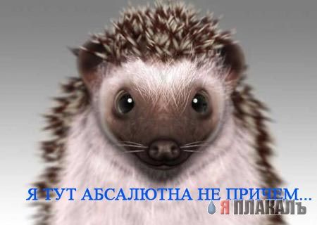Уже да :) Ужо пятнецца...