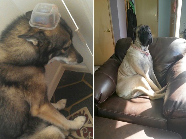 Подборка картинок на среду