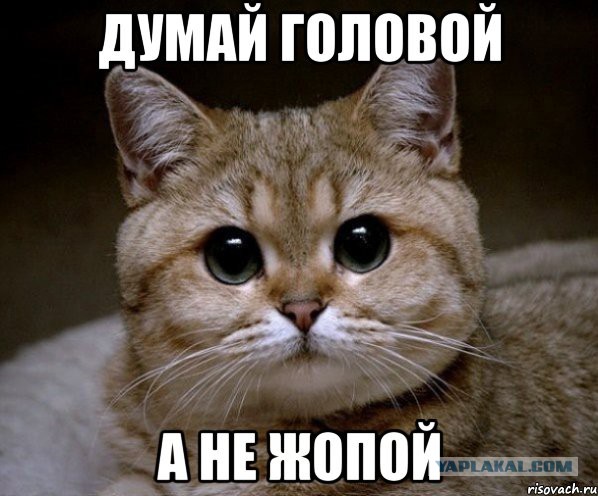 Теракт в Багдаде и Ницце