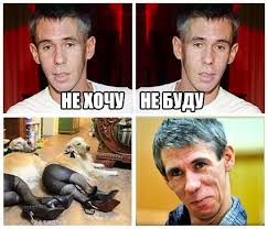 Слишком дружелюбные соседи.
