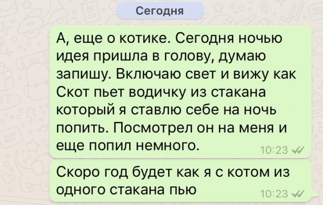 Просто картинки